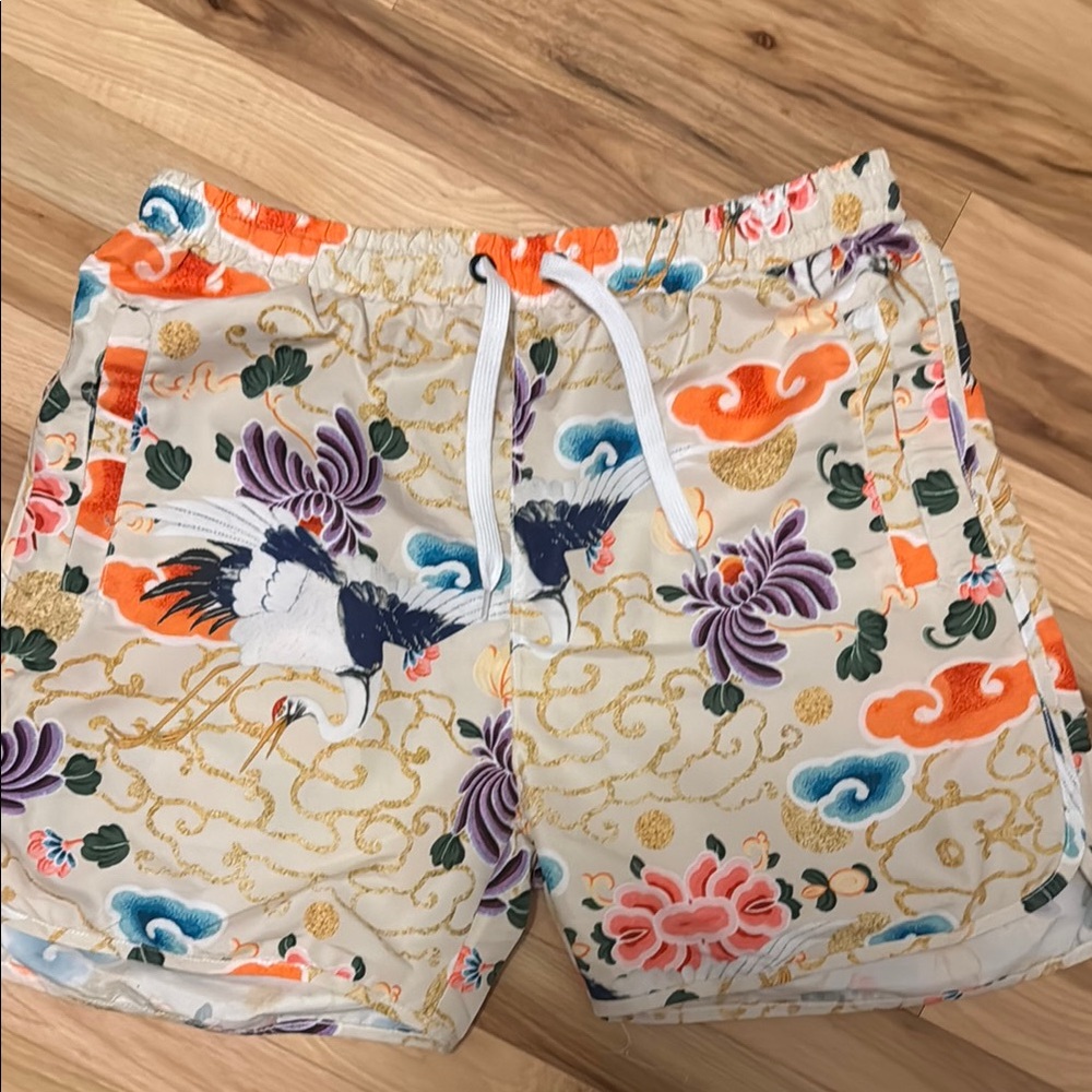 Men's Multicolor Swim Trunks